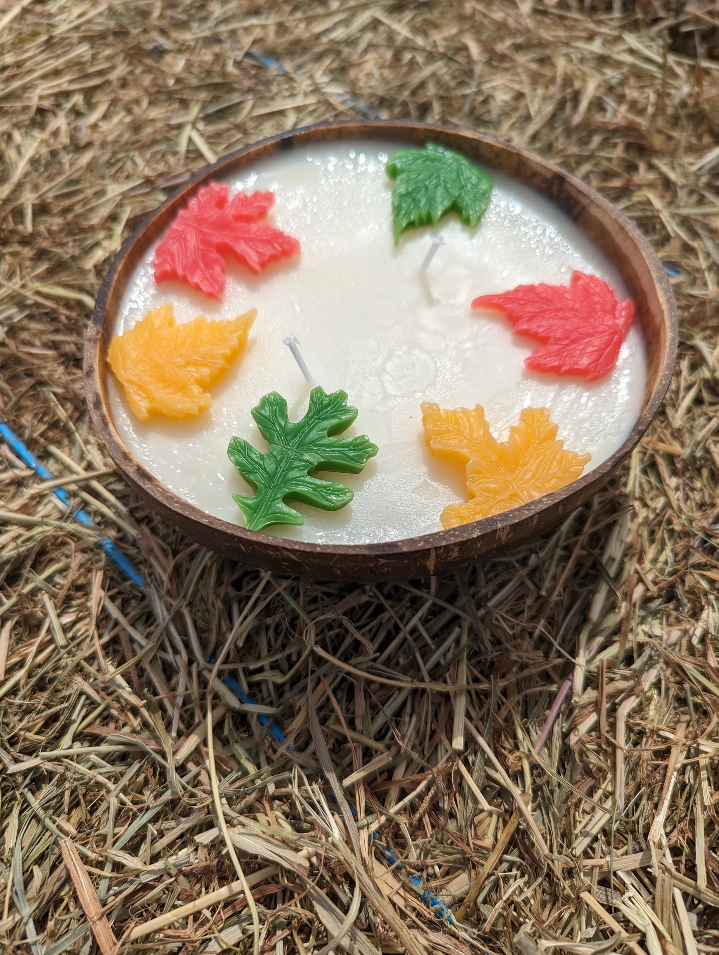Bol de Coco